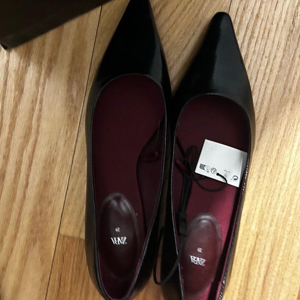Zara Glossy Black Pointed Loafers